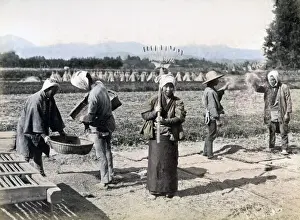 New Images May Prints: Farmers in the fields, Japan, circa 1880s. Date: circa 1880s