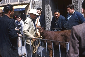 Images Dated 9th August 2012: Farmers in a village in the Dordogne, France