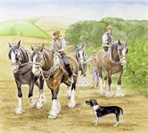 Farmers walk and lead a team of working horses