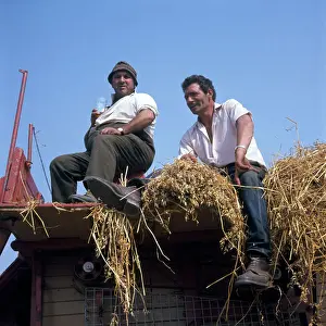 Two farmhands at harvest time