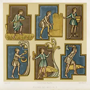 Farming Activities