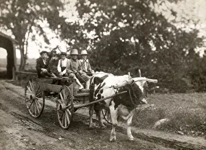 Gelatin Prints: Farming in Canada c. 1920, farm children on an ox cart