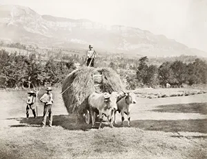 Farming, farmers, agriculture, bringing in hay on a wagon, France Farming, farmers, agriculture, bringing in hay on a wagon, France