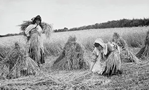 Gathering Collection: Farming - Gathering the hay Victorian period