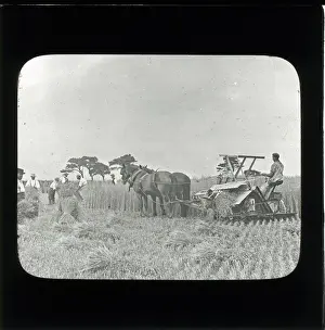 Farming: Haymaking - Harvesting: Horse-Drawn Bailing Machine