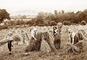 Idyll Prints: Farming - making haystacks Victorian period