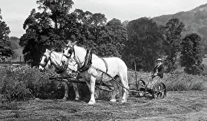 Farming - Mowing machine Victorian period