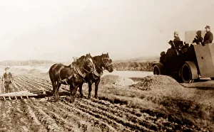 Farming in Northern France during WW1