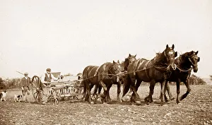 Farming - ploughing team Victorian period
