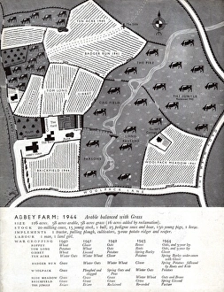 Farming pre-war in 1944 - layout of fields and crops (2/2) Farming pre-war in 1944 - layout of fields and crops (2/2)