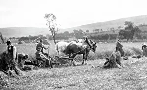 Reaping Prints: Farming (reaping)