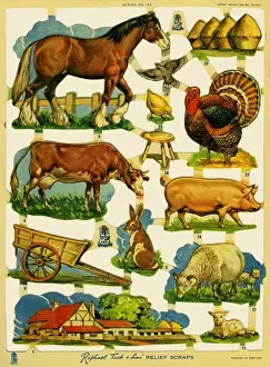 Farming scraps