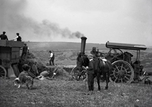 Tractor Gallery: Farming with steam-powered tractor