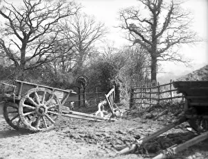 Farmyard Scene