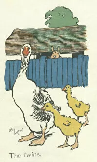 Images Dated 2nd February 2021: Farmyard Scene