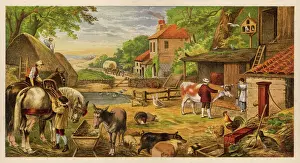 Farmyard Scene C1870