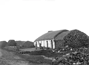 Hens Prints: A farmyard scene with rope thatched buildings