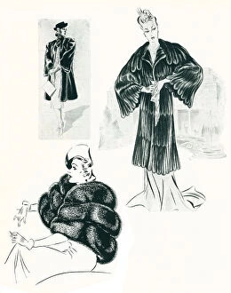 Jardine Collection: Fashion Furs Illustrations