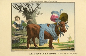 Images Dated 15th May 2012: The fashionable bull