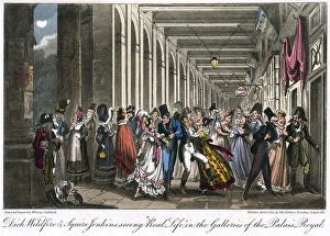 Racy Gallery: Fashions Palais Royal