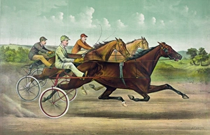 Horses Gallery: Fast trotting to fast wheels