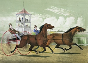 Horses Gallery: Fast trotting at Mystic Park, Medford, Mass