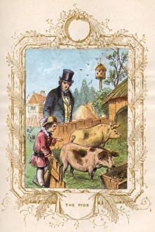 Admire Gallery: Father and son with pigs