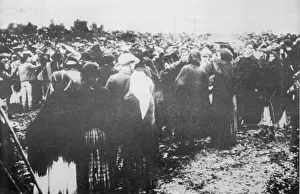 Fatima Crowd - 3