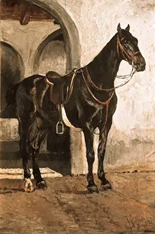 FATTORI, Giovanni (1825-1908)