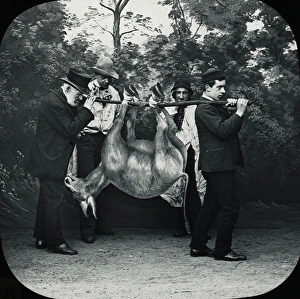Particular Gallery: Favourite Sayings - The old man and his donkey