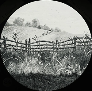 Particular Gallery: Favourite Sayings - No plough, many weeds