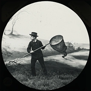Particular Gallery: Favourite Sayings - You can t catch the wind in a net
