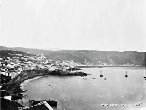 Settlement Gallery: Fayal, Azores 1873