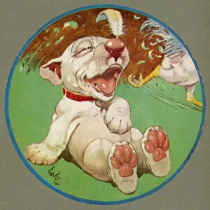 Bonzo Collection: A Feathered Bonzo - cover of the Third Studdy Dogs Portfolio