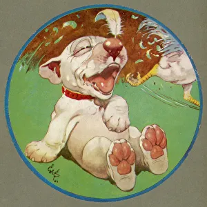 Bonzo Collection: A Feathered Bonzo - cover of the Third Studdy Dogs Portfolio