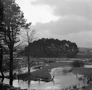 Swollen Prints: February landscape in the Welsh Borders