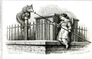 Feeding the Brown Bear at the Zoo