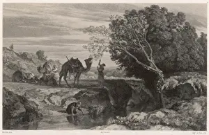 Nibble Prints: Feeding a Camel