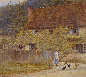 Allingham Gallery: Feeding the Chickens