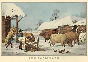 Feed Gallery: Feeding the Cows Date: 1856