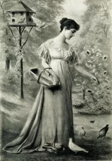 Feeding the Doves, a Living Picture