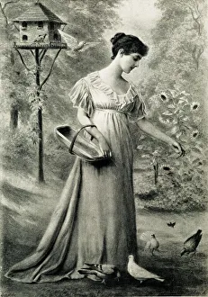 Dovecote Prints: Feeding the Doves, a Living Picture
