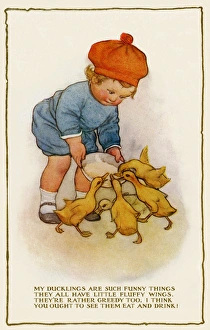 Feeding ducklings