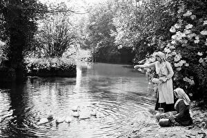 Ducks Collection: Feeding the ducks, Victorian period