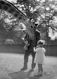 Keepers Prints: Feeding a Giraffe