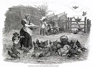 Hens Prints: FEEDING THE HENS 1847