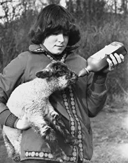 Lambing Prints: Feeding a Lamb