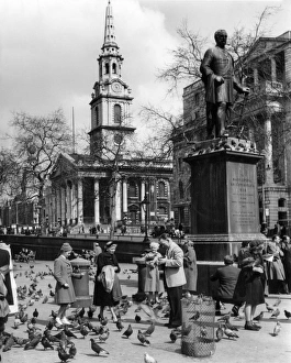 Images Dated 22nd July 2011: Feeding Pigeons 1950