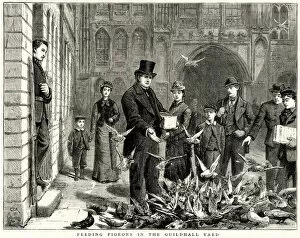 Feed Gallery: Feeding pigeons in the Guildhall Yard, City of London 1877