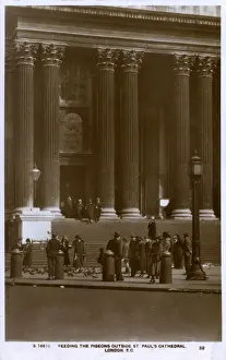Pigeons Prints: Feeding the Pigeons Outside St Pauls Cathedral, London